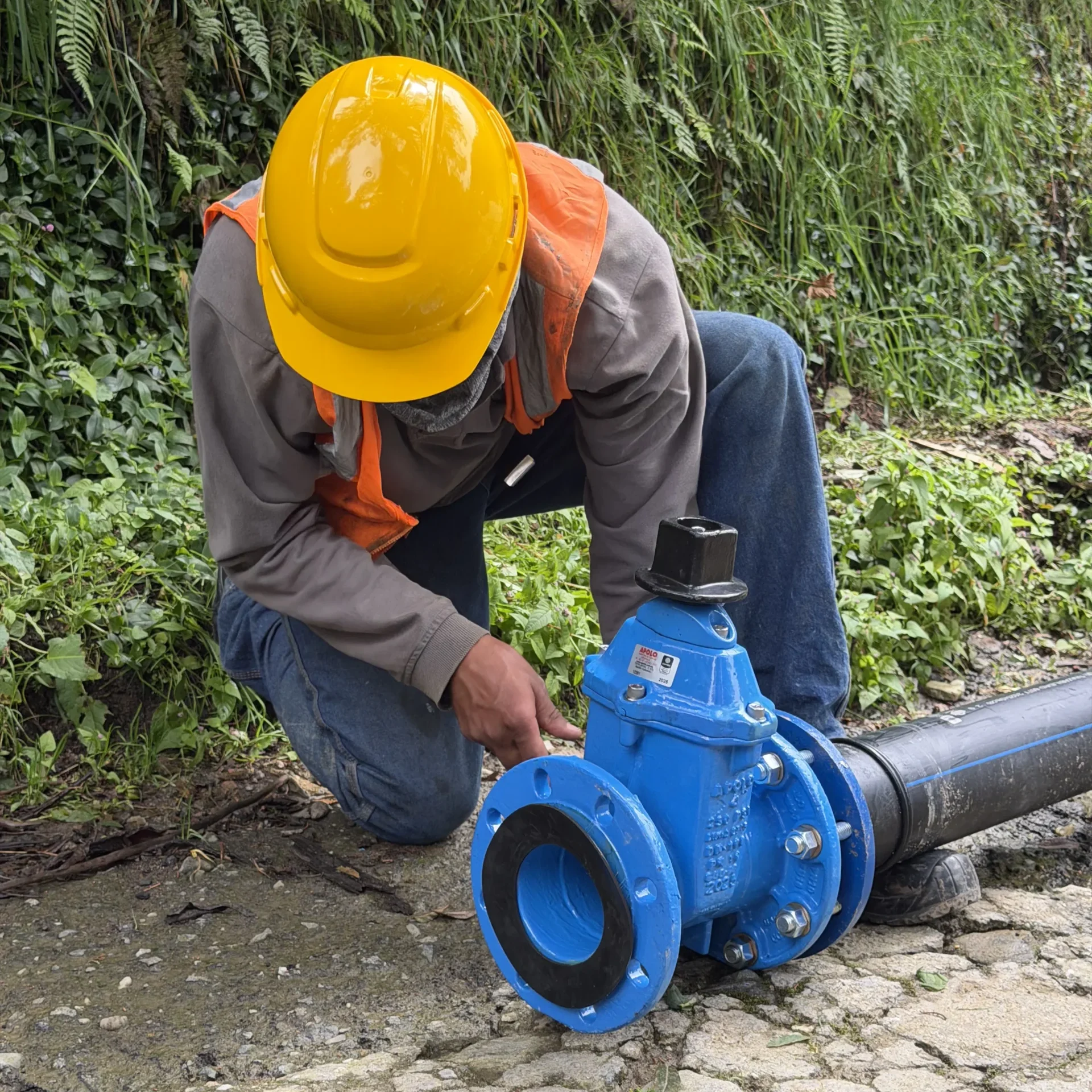 Arquitectura y Construcción de Casas